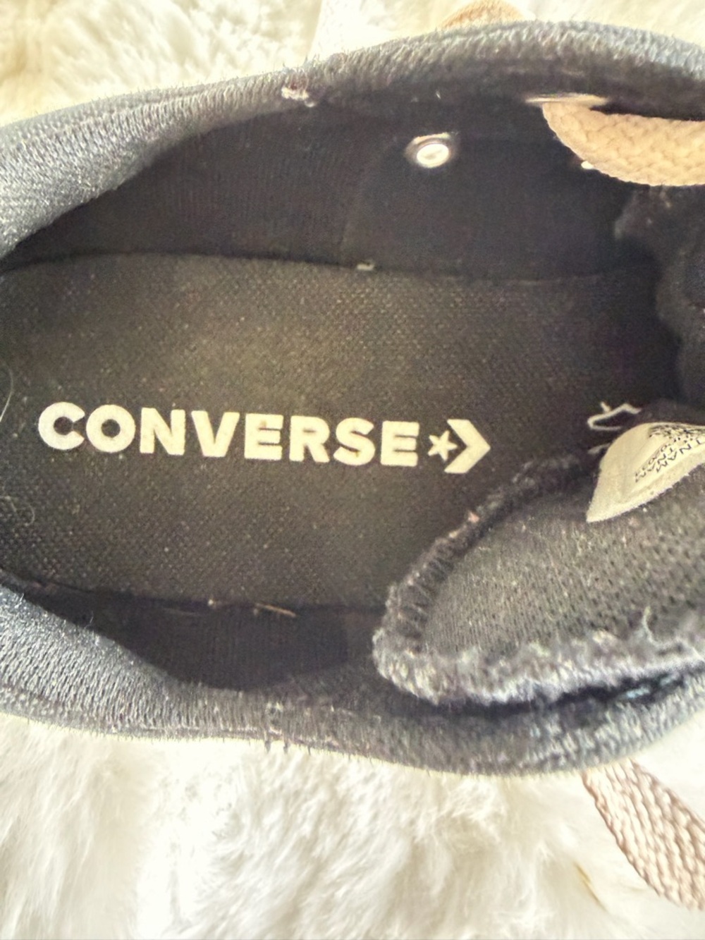 Converse Black Canvas Low-Top Sneakers with White Accents - Picture 14 of 14